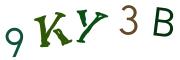 Obrázková CAPTCHA