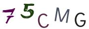 Obrázková CAPTCHA
