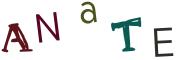 Obrázková CAPTCHA