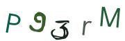 Obrázková CAPTCHA