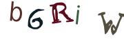 Obrázková CAPTCHA