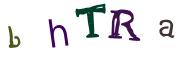 Obrázková CAPTCHA