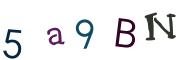 Obrázková CAPTCHA