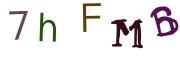 Obrázková CAPTCHA