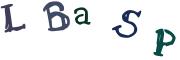 Obrázková CAPTCHA