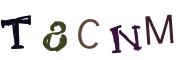 Obrázková CAPTCHA