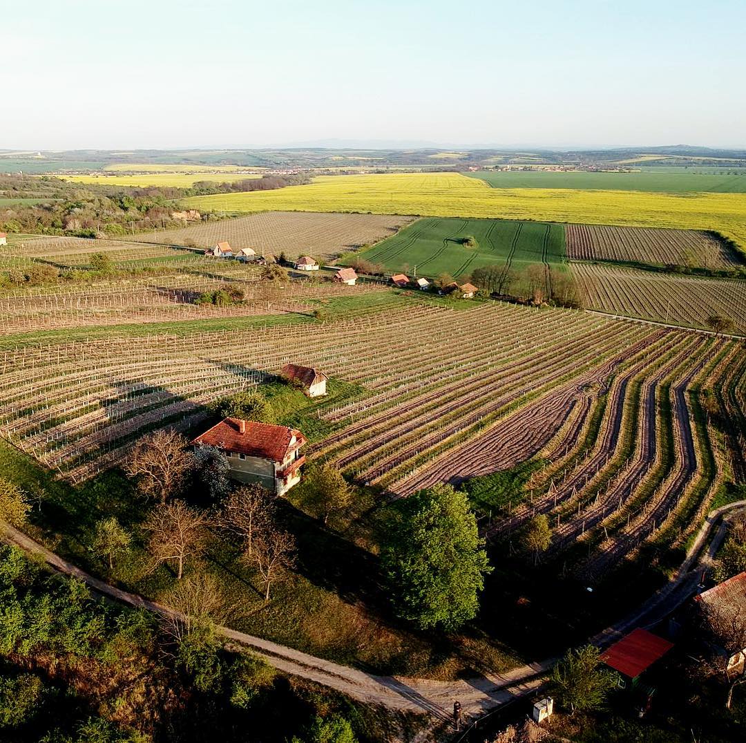 Terroir_Tekov