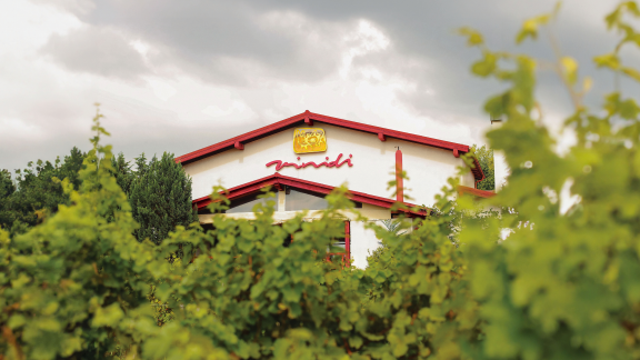 VINIDI - vinárstvo 