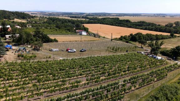 Potulky za vínom viničnou horou - vinohrady