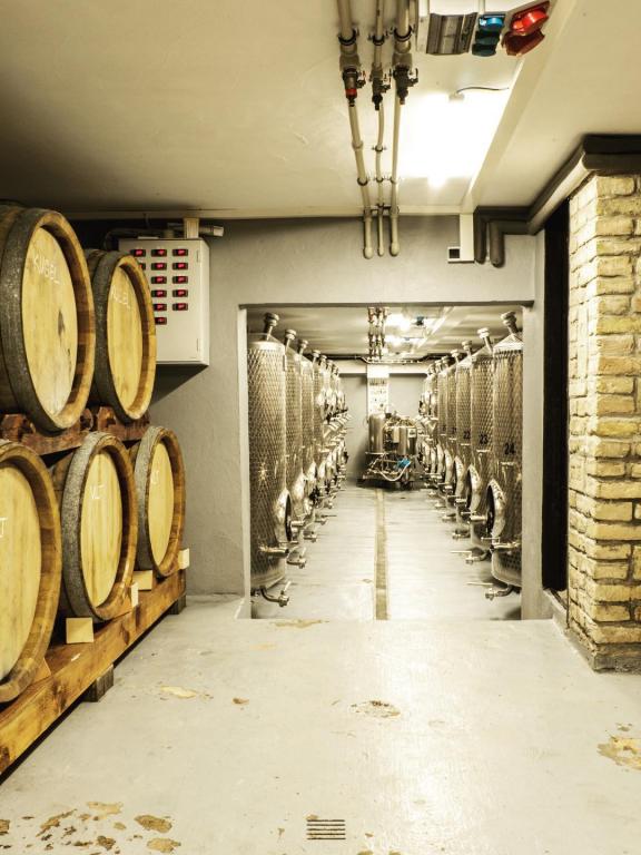 Dubové a nerezové sudy v pivnici vinárstva Purus v Modre
