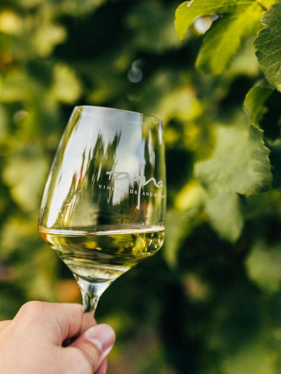 Tajná vineyards & winery - piknik vo vinohrade a pohár vína 