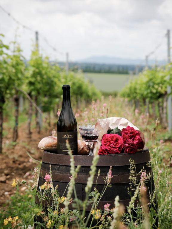 Tajná vineyards & winery - piknik vo vinohrade. a flaša vína a pohár.