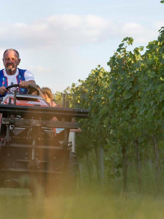Velkeer - prehliadka vinohradom na traktore