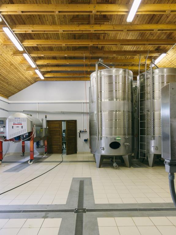 VÍNO NATURAL Domin &amp; Kušický wine cellar