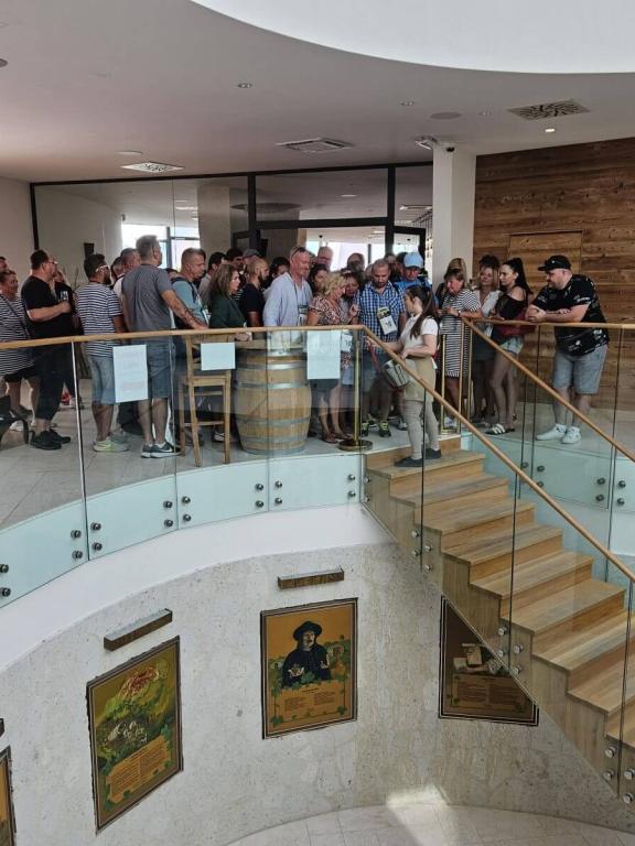 Deň otvorených Tokajských pivníc - interiér vinárstva
