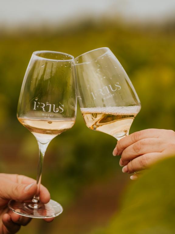 Frtus winery - poháre