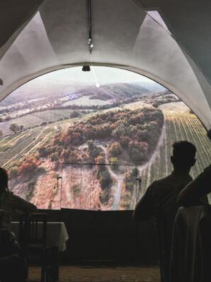 Zážitková degustácia v renesančnej pivnici Malokarpatského múzea