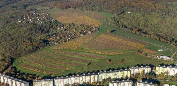 VÍNO NATURAL Domin & Kušický