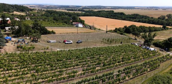 Potulky za vínom viničnou horou - vinohrady