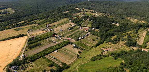 Potulky za vínom viničnou horou - vinohrady širšie
