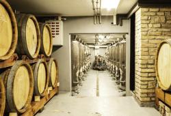 Dubové a nerezové sudy v pivnici vinárstva Purus v Modre