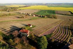 Terroir_Tekov