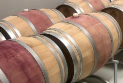 Barikové sudy v pivnici vinárstva JP Winery
