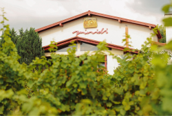 VINIDI - vinárstvo