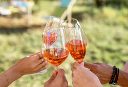 Festival ružového vína - pripíjanie.