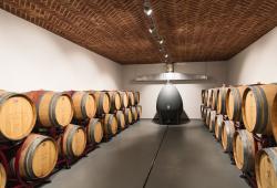 VÍNO NATURAL Domin &amp;amp; Kušický wine cellar