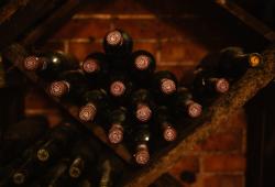 Malokarpatský salón vín - archív