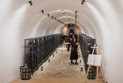 Malokarpatský salón vín - uskladnené vína