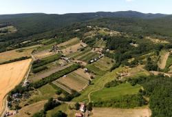 Potulky za vínom viničnou horou - vinohrady širšie