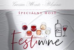 Festiwine - Bott Firgyes