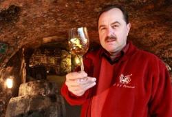 tokaj ostrozovic