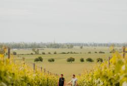 Vinári vo vinohradoch Frtus Winery pri Rybníku pri Leviciach